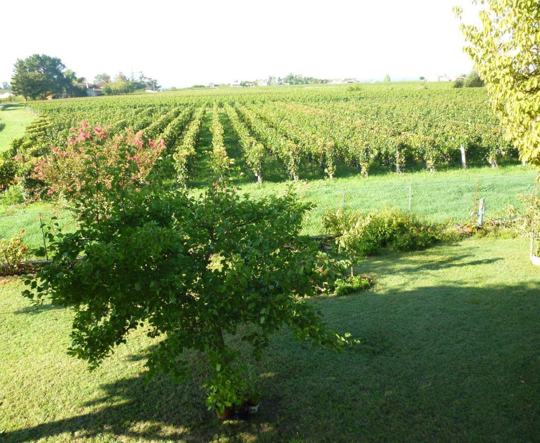 Le Clos Des Rosiers Saint-Émilion Eksteriør billede