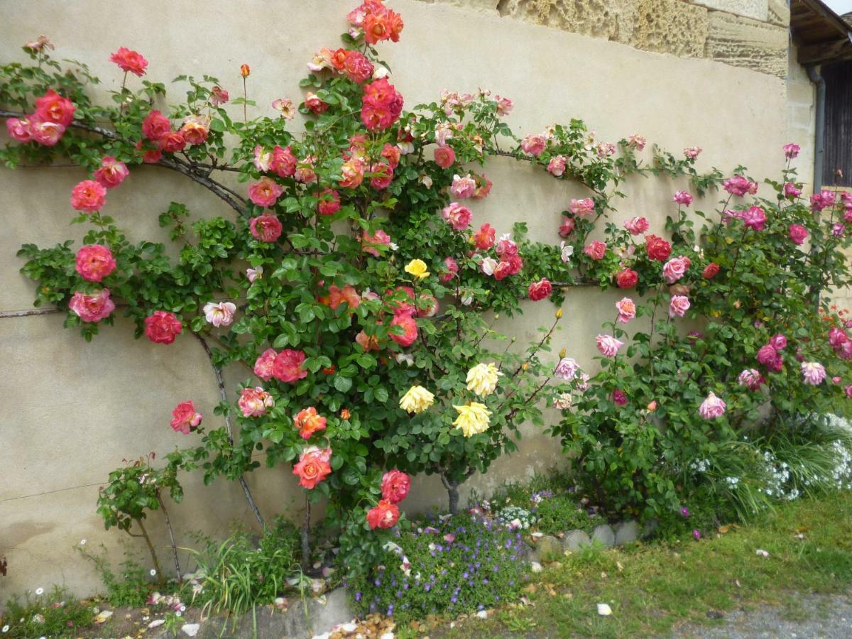 Le Clos Des Rosiers Saint-Émilion Eksteriør billede